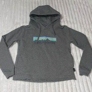 Patagonia Gray Hoodie